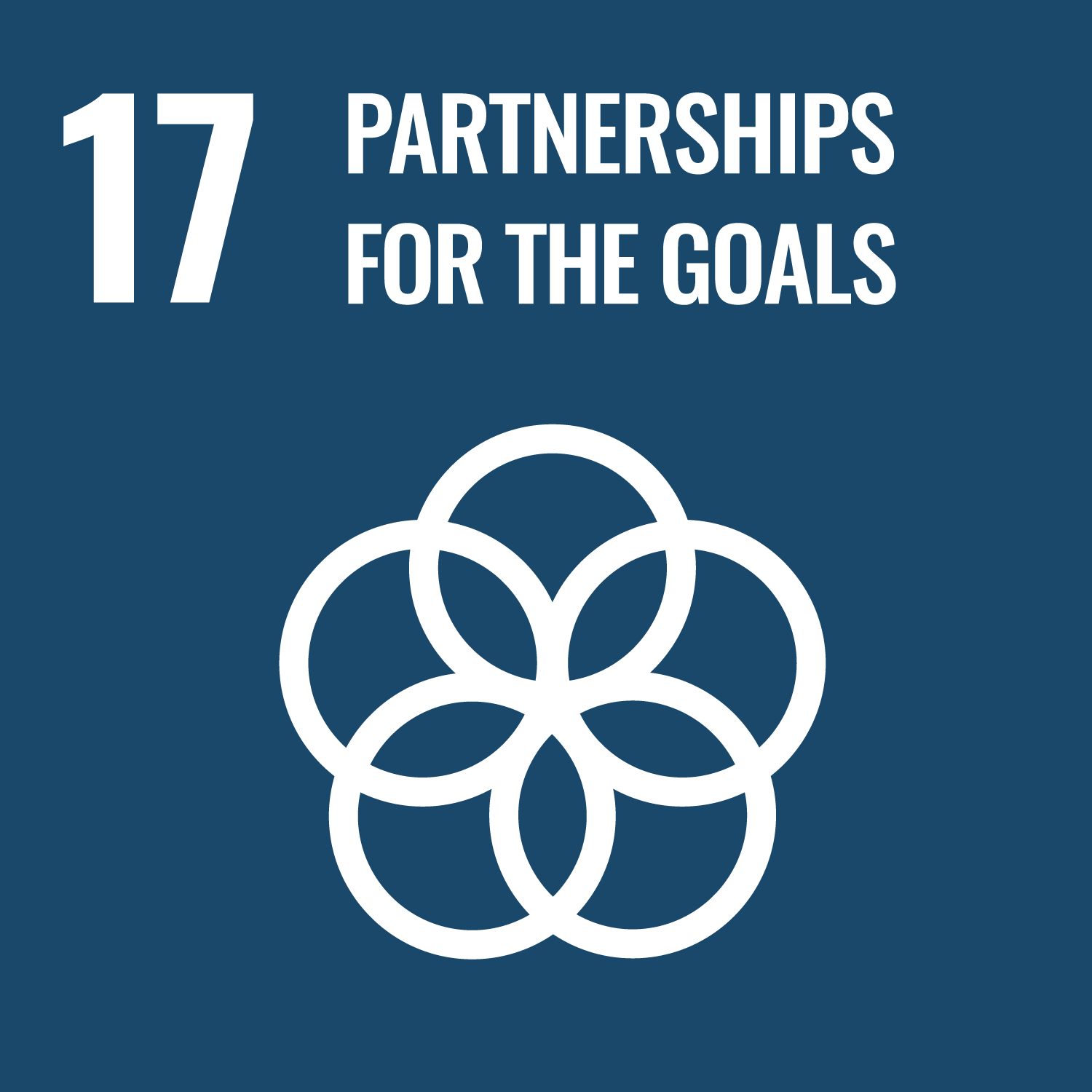 SDG17-Partnerships-For-The-Global-Goals-Sejahtera-Malaysia
